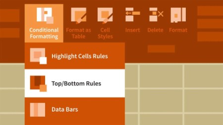 Excel 2013: Advanced Formatting Techniques