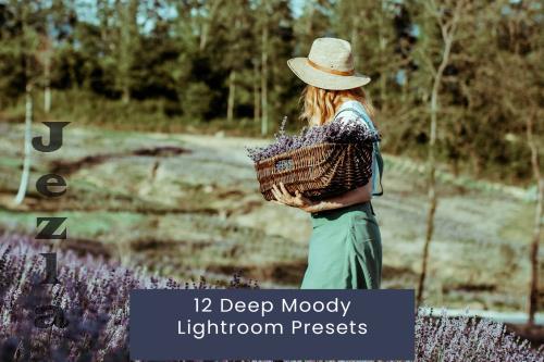 12 Deep Moody Lightroom Presets - NBF6XNX