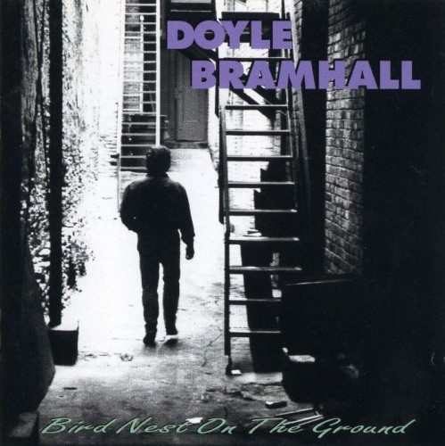 Doyle Bramhall - Bird Nest On The Ground (1994) Lossless 