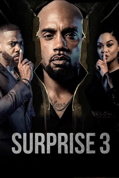 Surprise 3 (2024) 720p WEB h264-DiRT