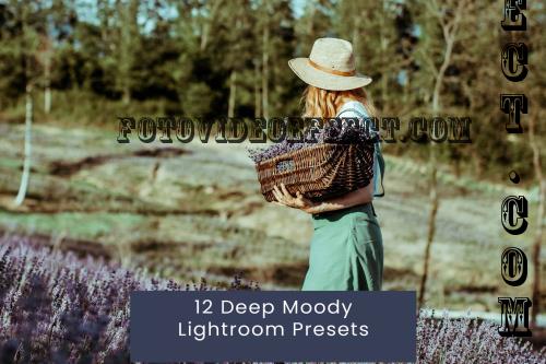 12 Deep Moody Lightroom Presets - NBF6XNX