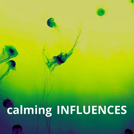 Calming Influences (3CD)