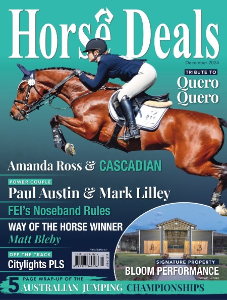 Horse Deals - December 2024