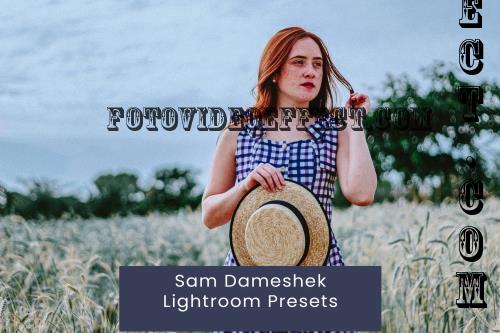 Sam Dameshek Lightroom Presets - 8HM79RQ