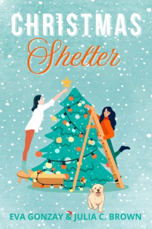 Christmas at the Shelter Inn - Eva Gonzay