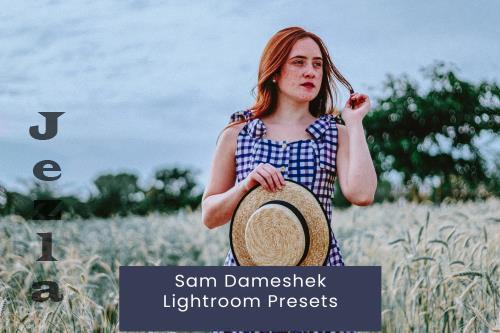 Sam Dameshek Lightroom Presets - 8HM79RQ