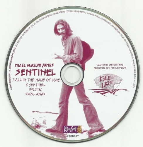 Nigel Mazlyn Jones - Sentinel & The Fools Of The Finest Degree (1979) (2009) Lossless