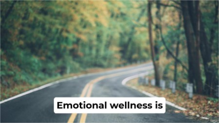 Foundations Of Emotional Health And Wellness