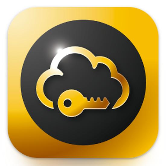 Менеджер Паролей / SafeInCloud 2 v24.17.11 Mod by Balatan [Ru/Multi] (Android)