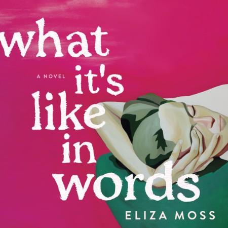 What It's Like in Words: A Novel - [AUDIOBOOK]