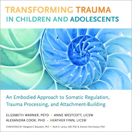 Transforming Trauma in Children and Adolescents: An Embodied Approach to Somatic Regulation, Trauma Processing, and Attachment-Building - [AUDIOBOOK]