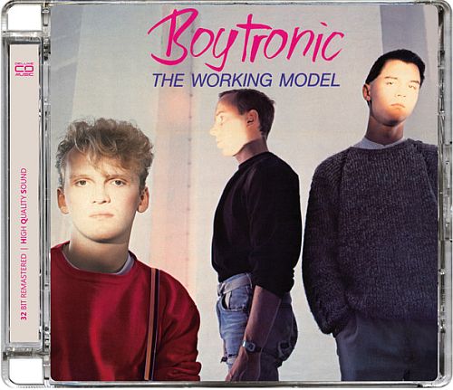 Boytronic - The Working Model (1983) (LOSSLESS)