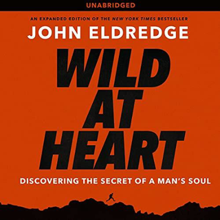 Wild at Heart (The Kincaids of Pine Harbour, #3) - [AUDIOBOOK]