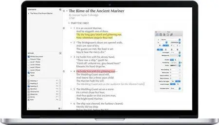 OmniOutliner Pro 5.14.1 Multilingual macOS