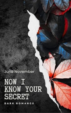 Cover: June November - Now I know your secret