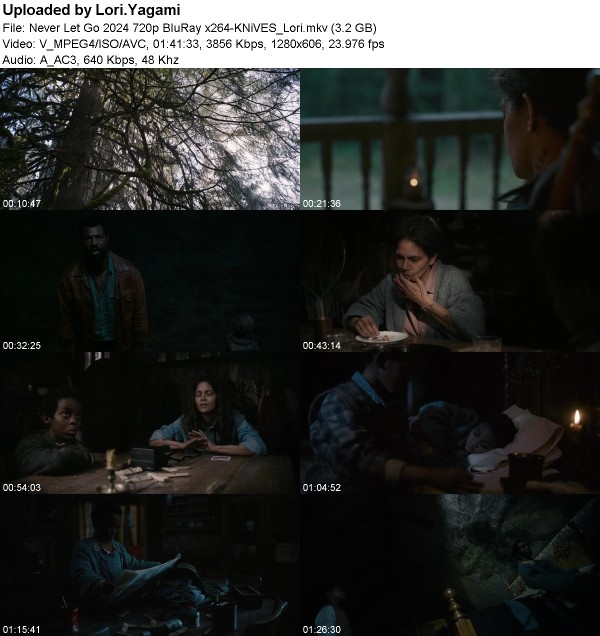 Never Let Go (2024) 720p BluRay x264-KNiVES