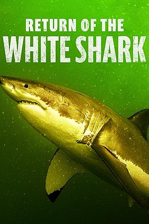 Return Of The White Shark (2023) 1080p WEB H264-CBFM