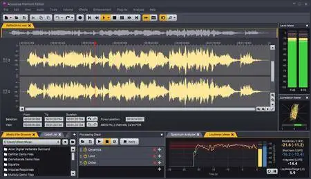 Acon Digital Acoustica Premium 7.7.3 (Win/macOS)