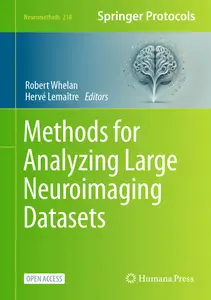 Methods for Analyzing Large Neuroimaging Datasets