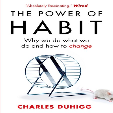 The Power of Habit: Why We Do What We Do in Life and Business - [AUDIOBOOK]