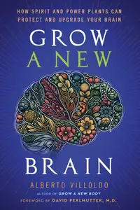 Grow a New Brain How Spirit and Power Plants Can Protect and Upgrade Your Brain