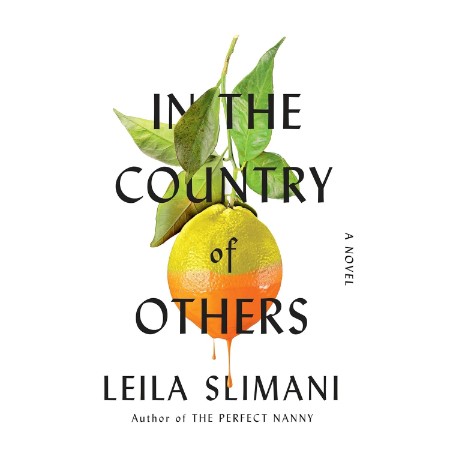 In the Country of Others: A Novel - [AUDIOBOOK]