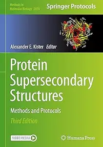 Protein Supersecondary Structures Methods and Protocols