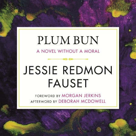 Plum Bun: A Novel Without a Moral: A Library of America eBook Classic - [AUDIOBOOK]