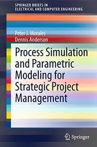 Process Simulation and Parametric Modeling for Strategic Project Management