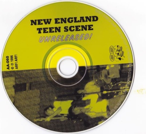 VA - New England Teen Scene... Unreleased! (30 Killer Garage Rock Winners From 19651968)[WEB](1996) Lossless