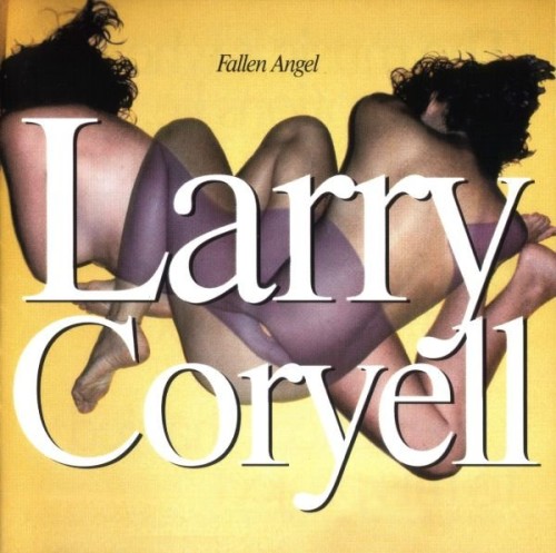 Larry Coryell - Fallen Angel (1993) Lossless