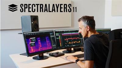 Steinberg SpectraLayers Pro 11.0.50  macOS