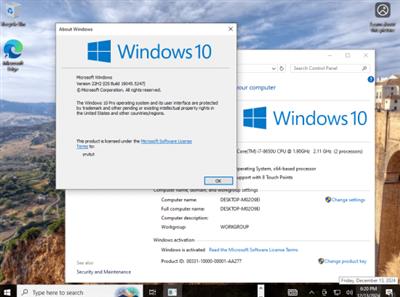 Windows 10 22H2 build 19045.5247 8in1 Preactivated  Multilingual