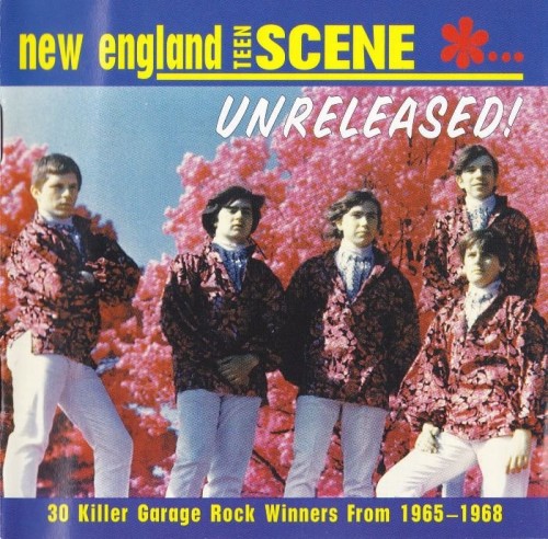 VA - New England Teen Scene... Unreleased! (30 Killer Garage Rock Winners From 19651968)[WEB](1996) Lossless