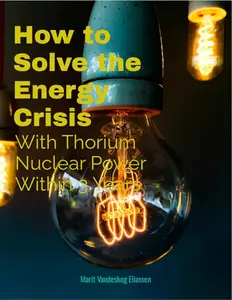 How to Solve the Energy Crisis