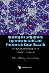 Modelling and Computational Approaches for Multi–Scale Phenomena in Cancer Research From Cancer Evolution to Cancer Treatment