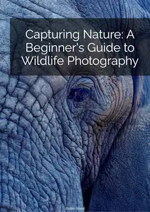 Capturing Nature A Beginner's Guide to Wildlife Photography