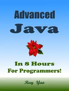 Advanced JAVA, In 8 Hours, For Java Programmers