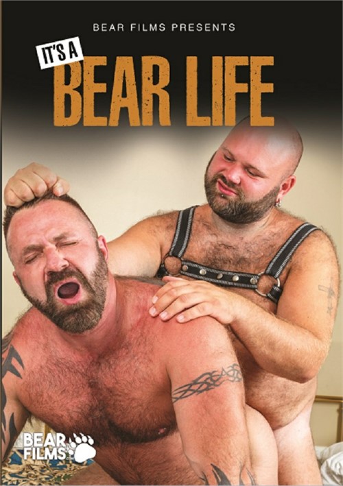 Bear Films - Its a Bear Life