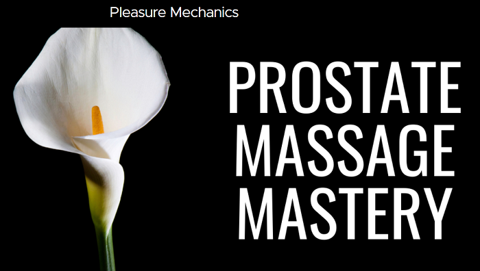 Pleasure Mechanics – Prostate Massage Mastery Download