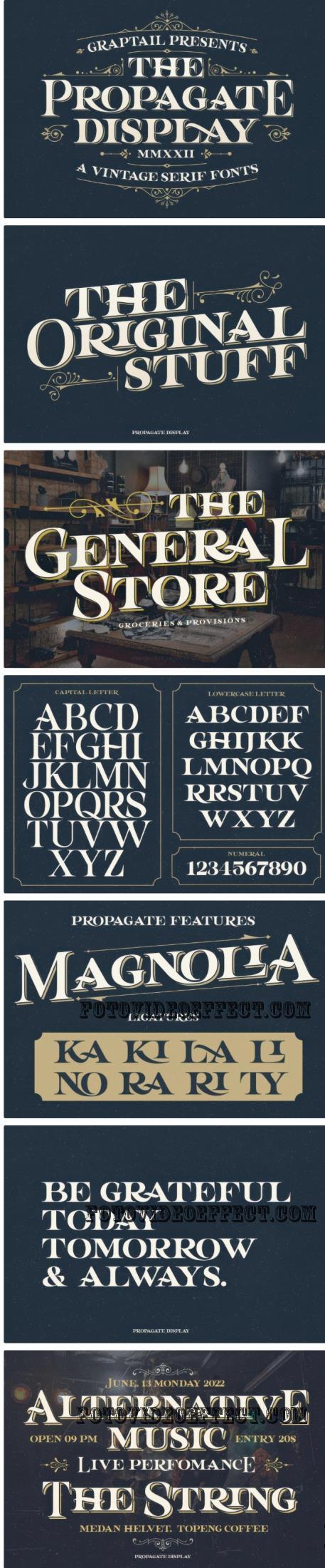 Propagate - Vintage Serif - 7337091