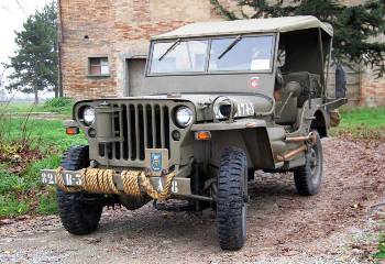 Jeep Willys Walk Around