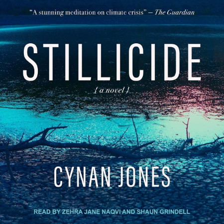 Stillicide - [AUDIOBOOK]