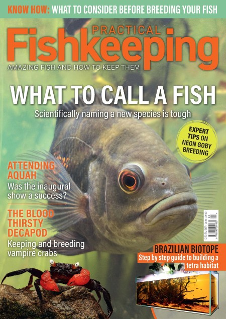 Practical Fishkeeping - December 2024