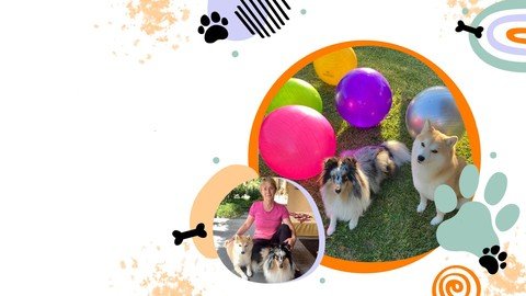 Udemy – Hellodogs Treibball Club