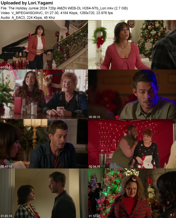 The Holiday Junkie (2024) 720p AMZN WEB-DL H264-NTb