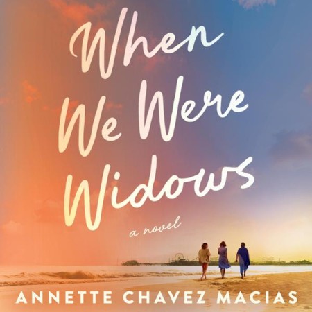 When We Were Widows: A Novel - [AUDIOBOOK]