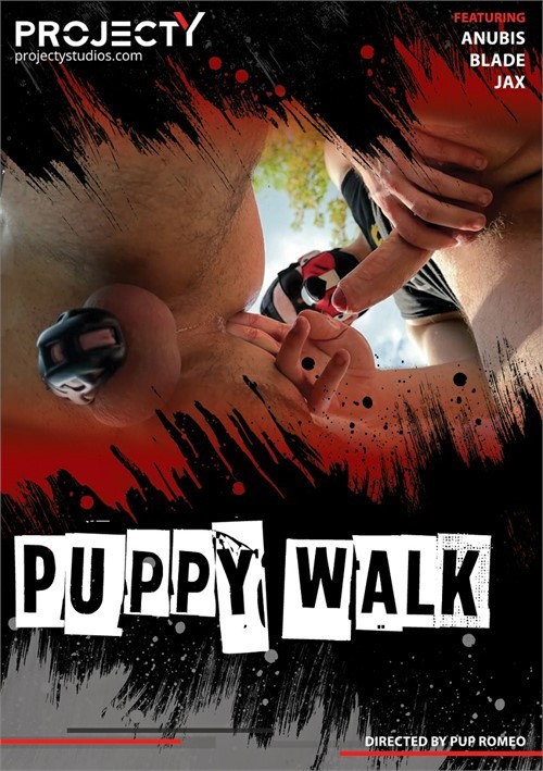 projectYstudios - Puppy Walk