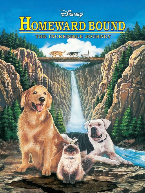 Niezwykła podróż / Homeward Bound: The Incredible Journey (1993) PL.720p.WEB-DL.XviD.AC3-ELiTE / Lektor PL