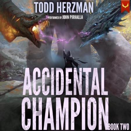 Accidental Raider - Accidental Champion Book 2: A LitRPG Swashbuckler - [AUDIOBOOK]